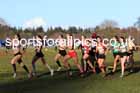 Womens under-17s 2025 Northern Cross Country Champs, Tatton Park, Knutsford, Cheshire. Photo: David T. Hewitson/Sports for All Pics